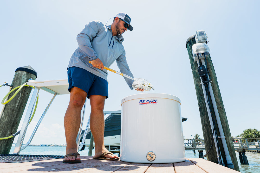 Why Live Bait Dies Overnight (And How to Prevent It)