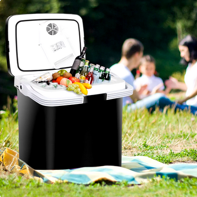 28 Qt. Portable Thermoelectric (12V DC) Cooler and Warmer, Mini, Plug In Car for Camping, Fishing