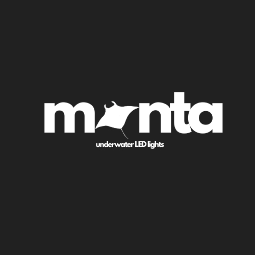 Manta Underwater LED Light